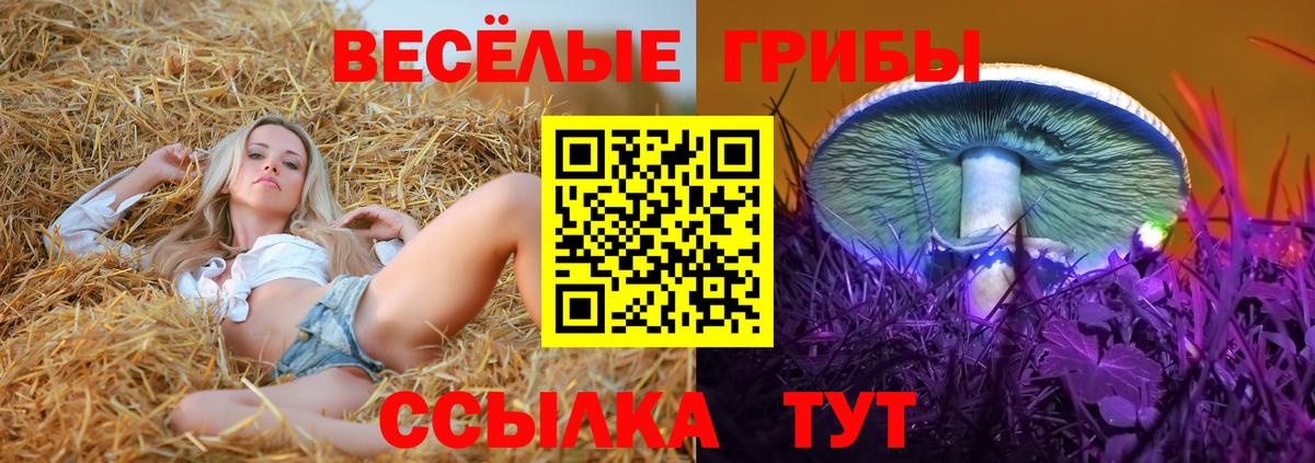 Еманжелинск  Галлюциногенные грибы Cubensis  Вход с VPN  Псилоцибиновые грибы ЛСД 